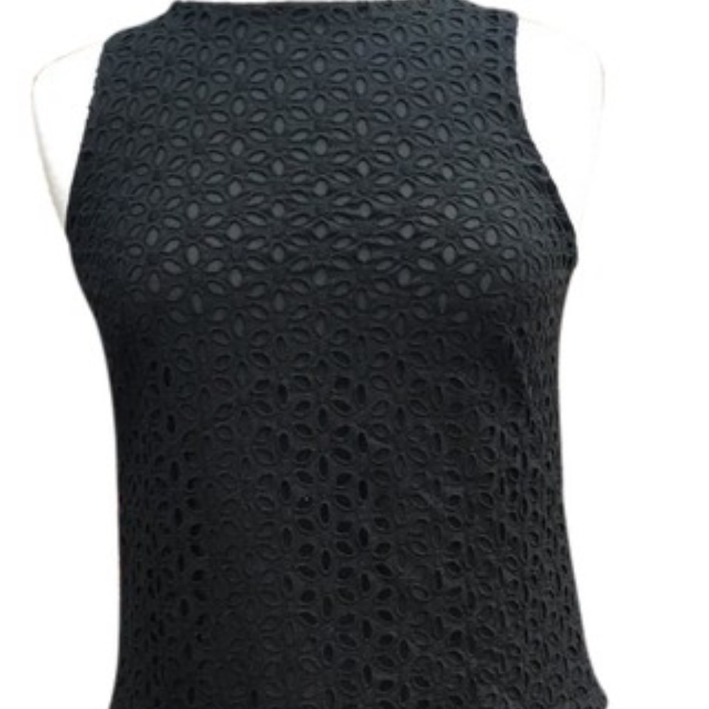 Ann Taylor Loft Drop Waist Cocktail Dress